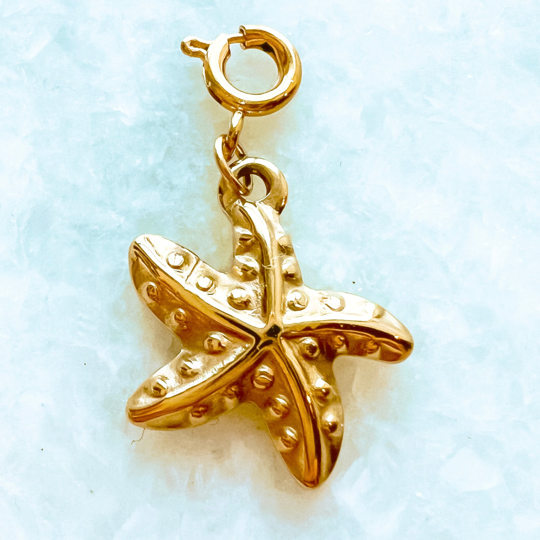 Star Fish Charm